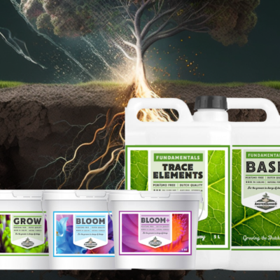 Amsterdamned Pro Bundle - Small