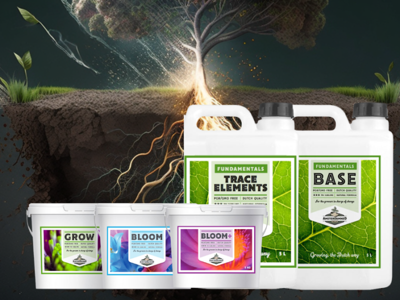 Amsterdamned Pro Bundle - Medium